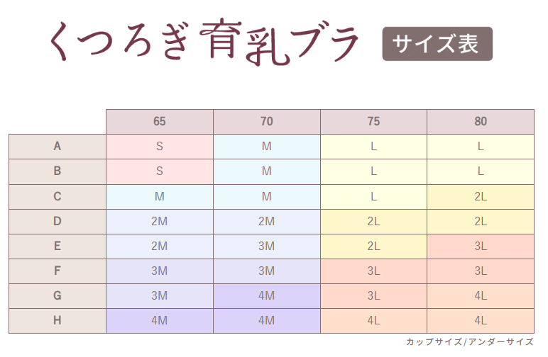 ルルクシェルナイトブラサイズ表