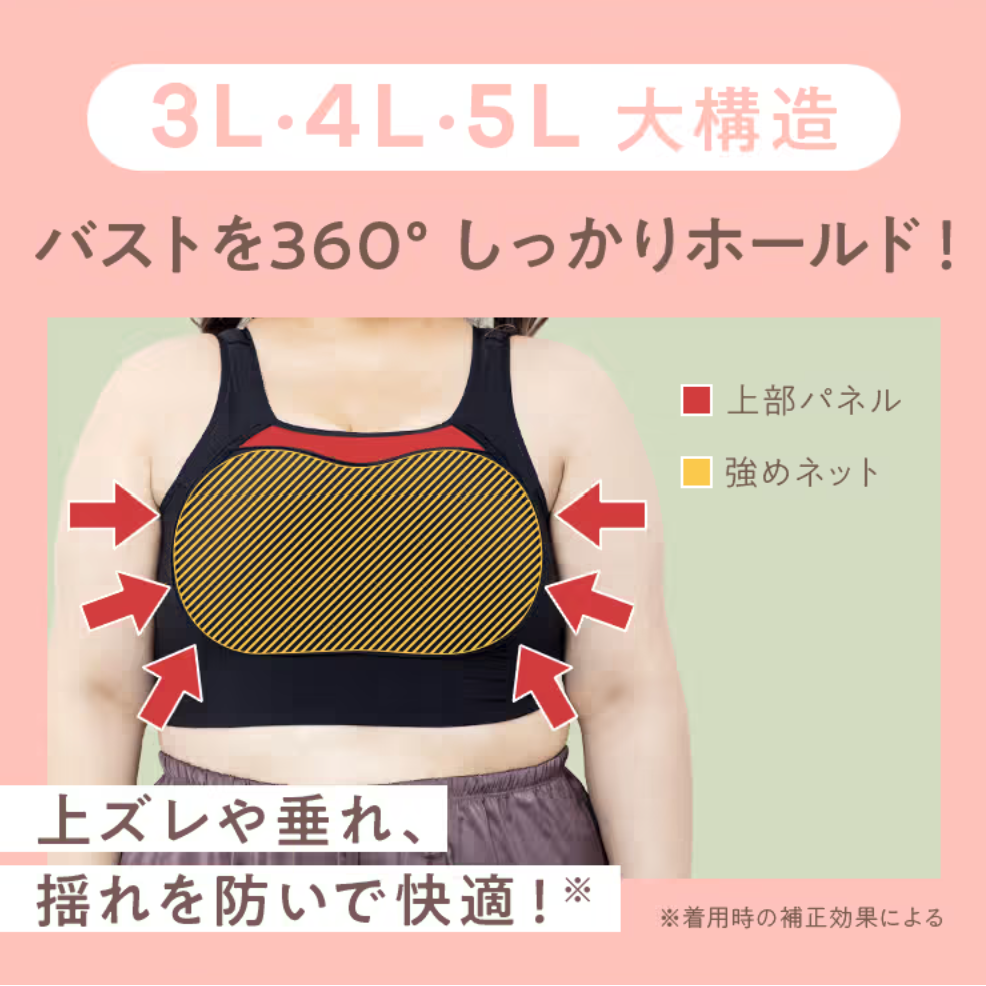 エヌメリー3L・4L・5L大構造